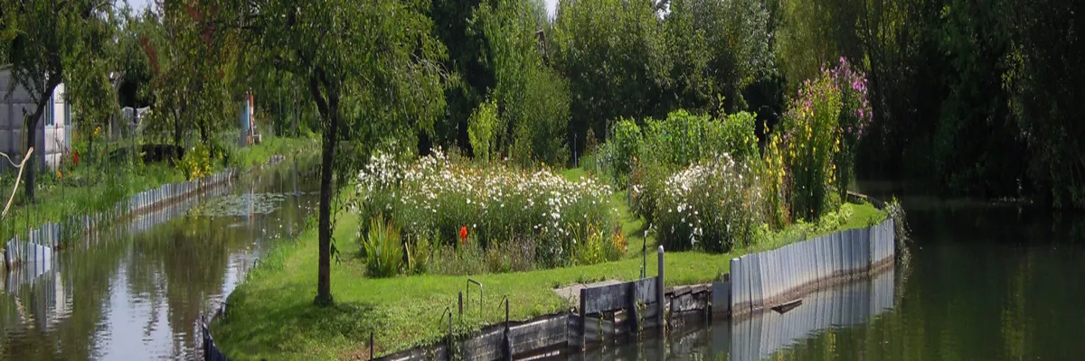 Image Installation douche sénior Cher