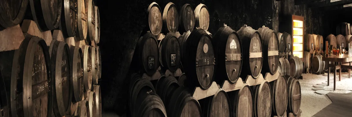 Image Installation douche sénior Cognac