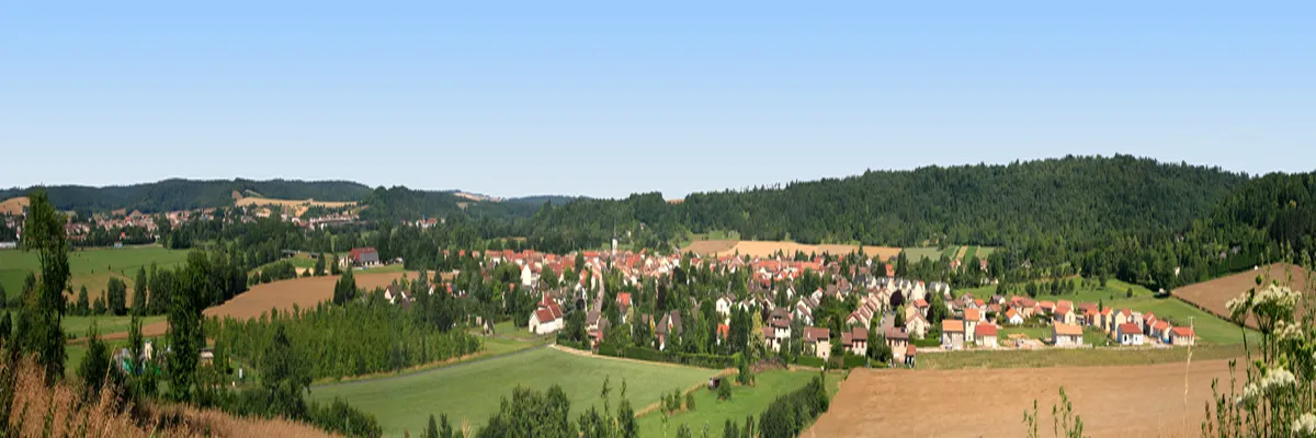 Image Installation douche sénior Commercy