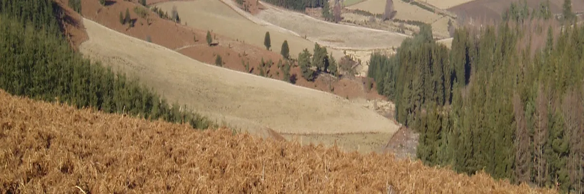 Image Installation douche sénior Creuse