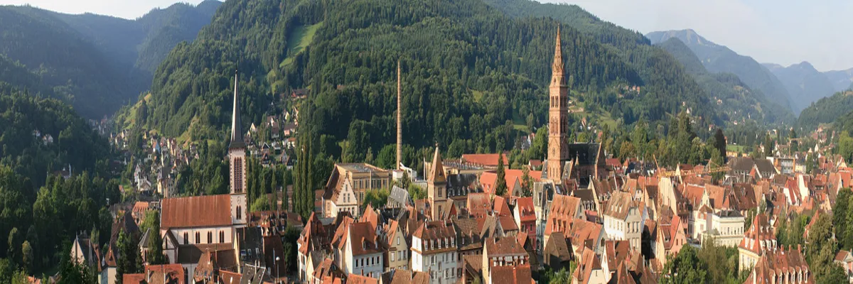 Image Installation douche sénior Haut-Rhin