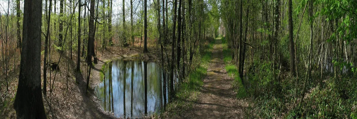 Image Installation douche sénior Indre