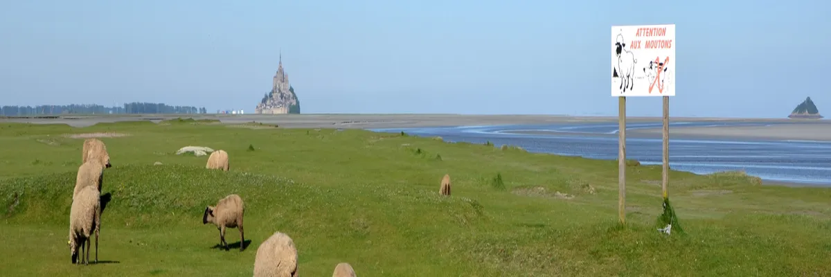 Image Installation douche sénior Manche