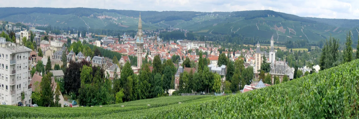 Image Installation douche sénior Marne