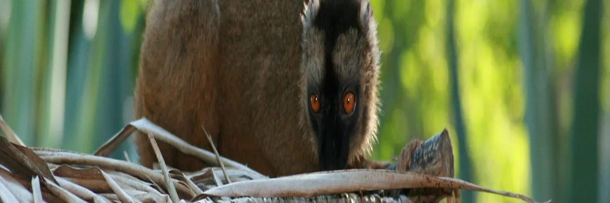 Image Installation douche sénior Mayotte