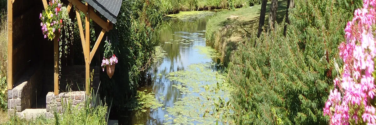 Image Installation douche sénior Montfort-sur-Meu