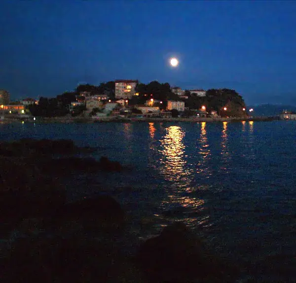 Douche Sénior Pro Installation douche sénior Bandol