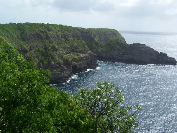Douche Sénior Pro Installation douche sénior Guadeloupe