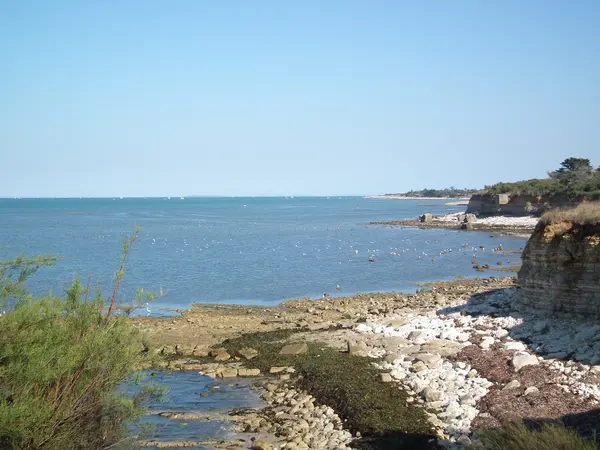 Douche Sénior Pro Installation douche sénior Nouvelle-Aquitaine